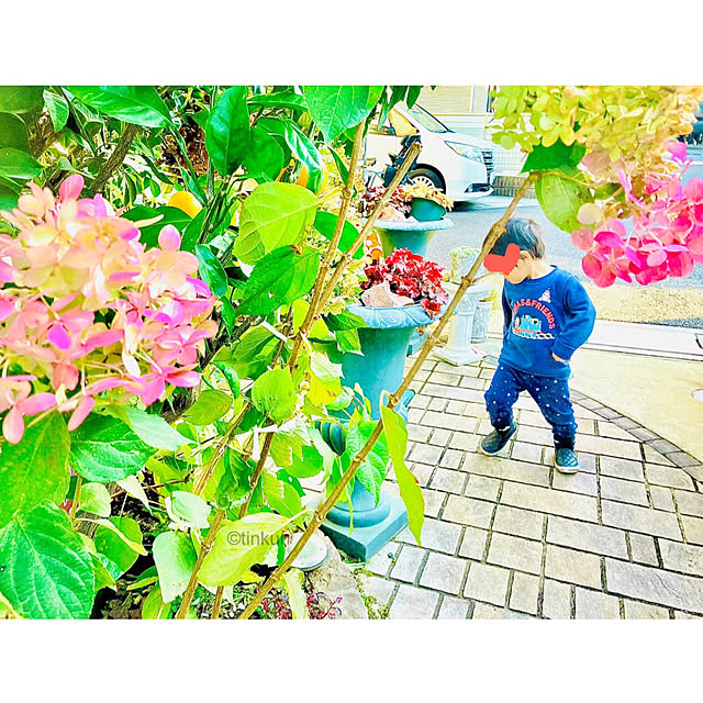 tinkunさんの実例写真