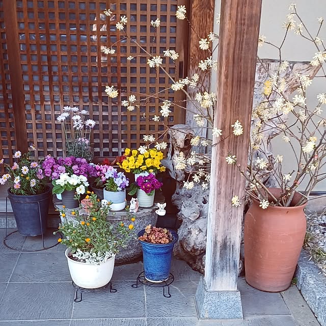hiro-yさんの実例写真