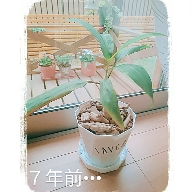 mofukoさんの部屋