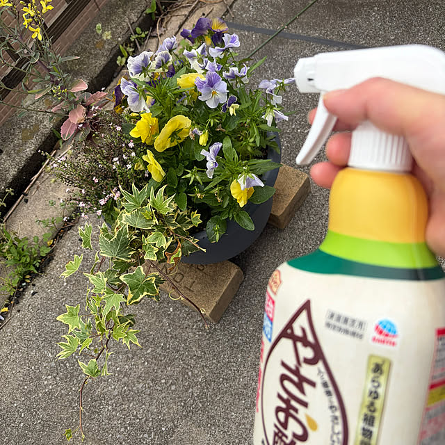 Yukikokoさんの実例写真