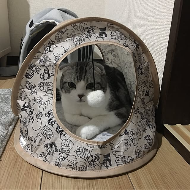 tomommyさんの実例写真