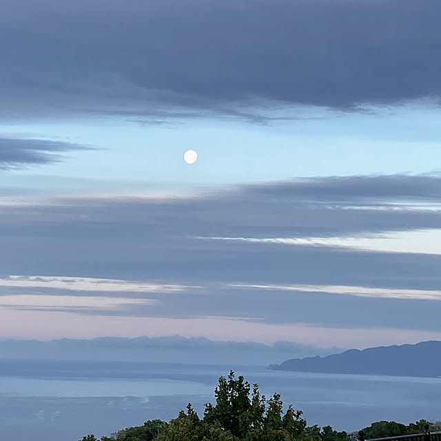 Megumiさんの部屋