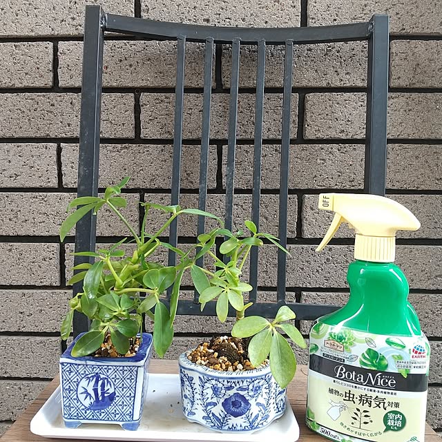 Rさんの実例写真