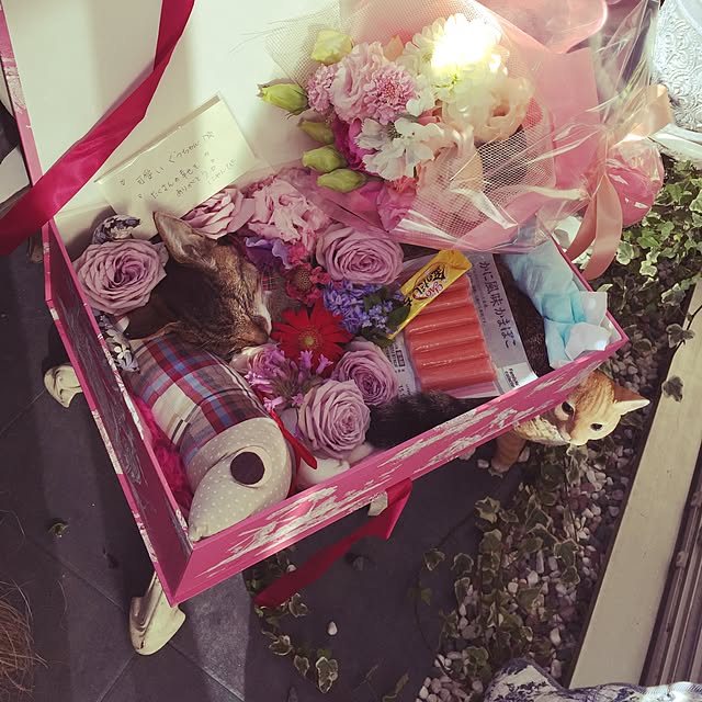 emmyyさんの実例写真