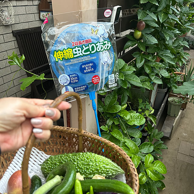 botanさんの部屋