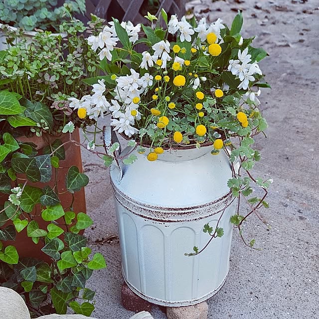 mocomocoさんの部屋