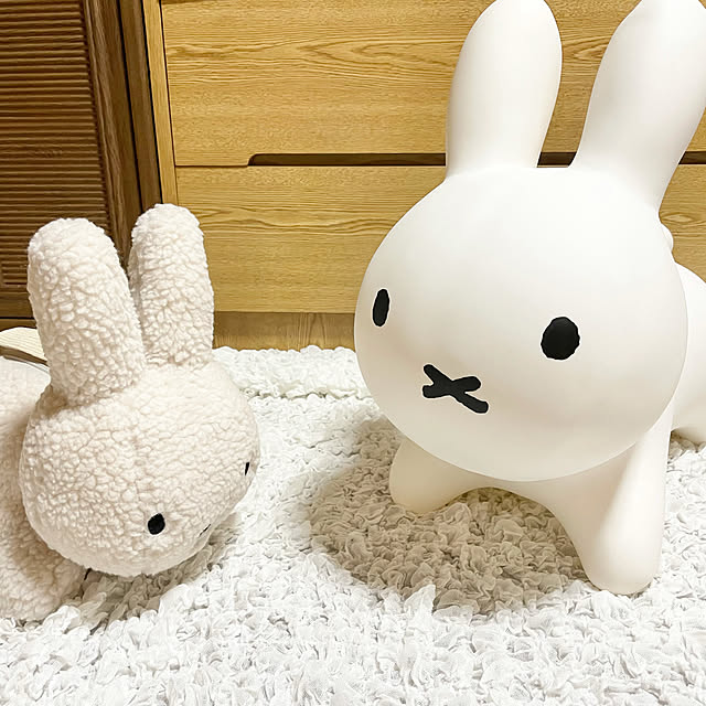 takenoko_mamaさんの実例写真