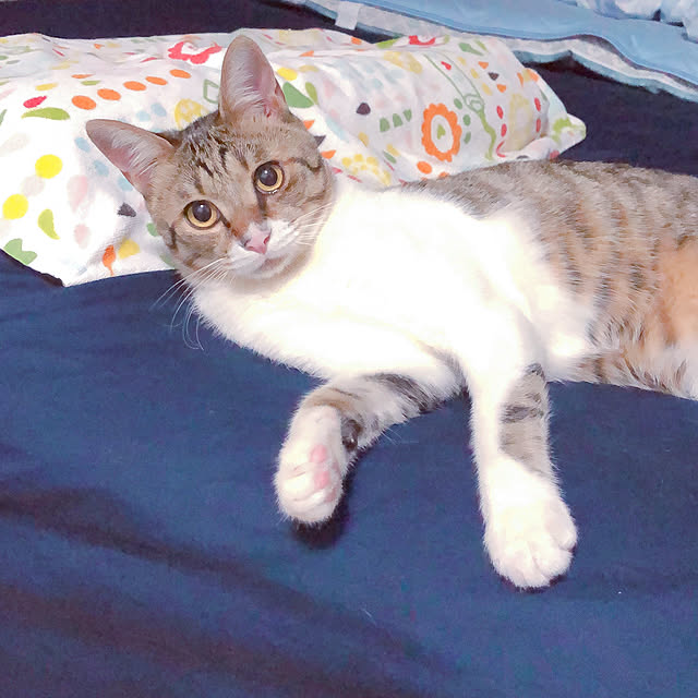 yurari.bonnさんの実例写真
