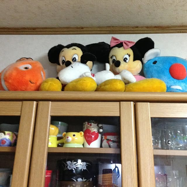 skyさんの実例写真