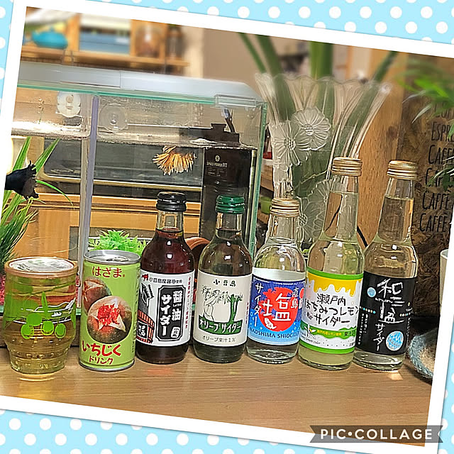 Alohaさんの実例写真