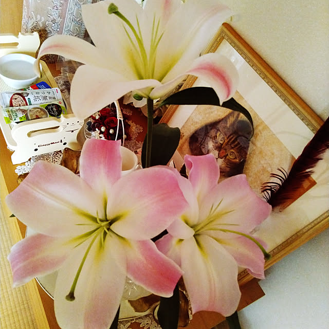 lilyさんの実例写真