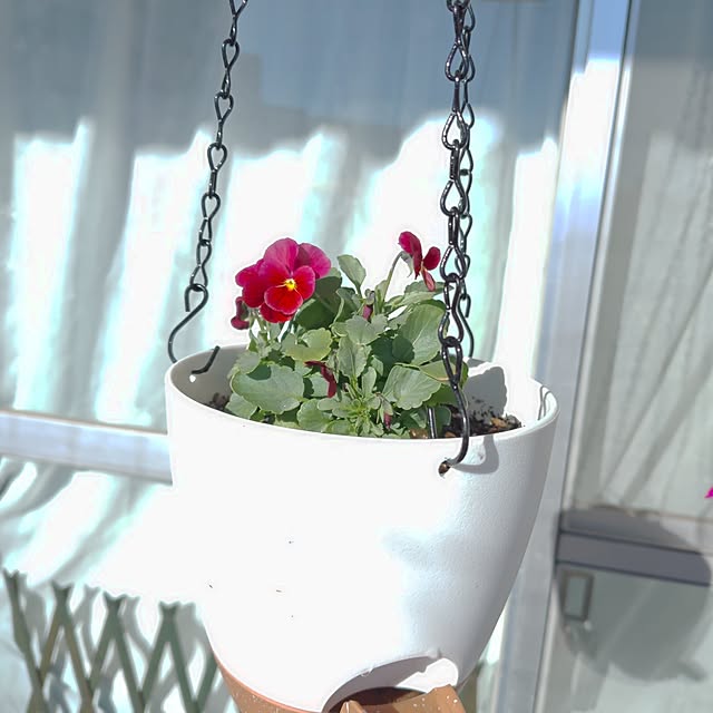 mariaさんの部屋