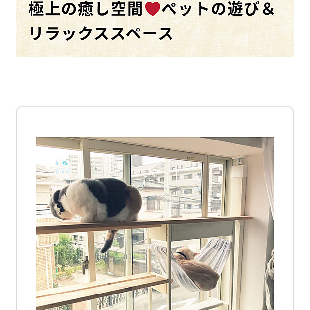 bambi_eyeさんの実例写真