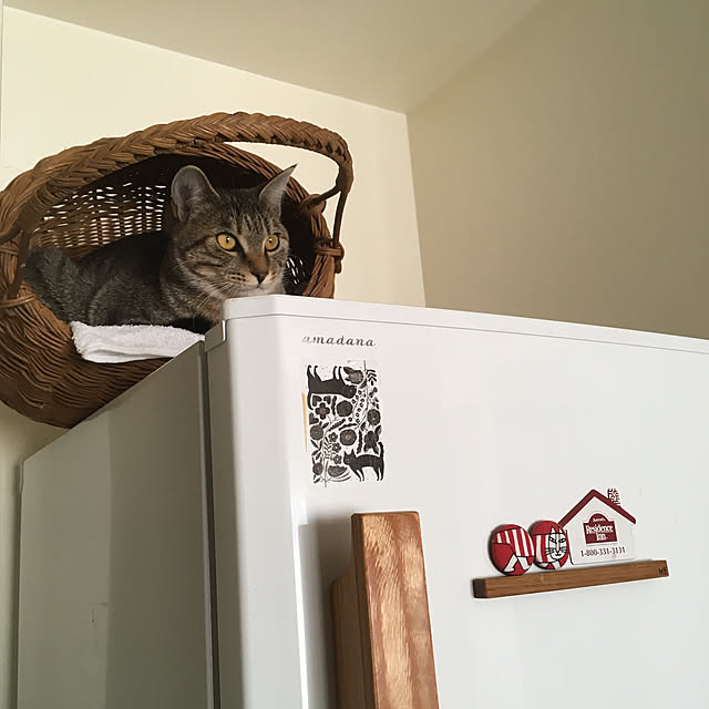 mikomaruさんの実例写真