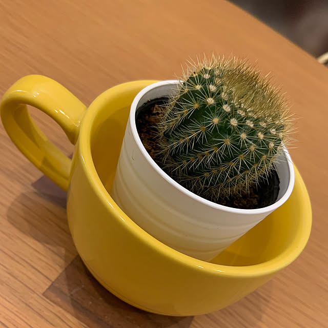 sariさんの実例写真