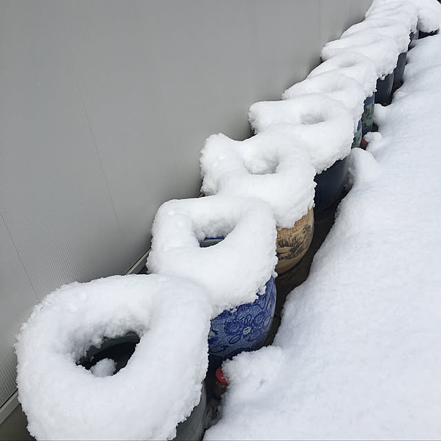 pitaさんの実例写真