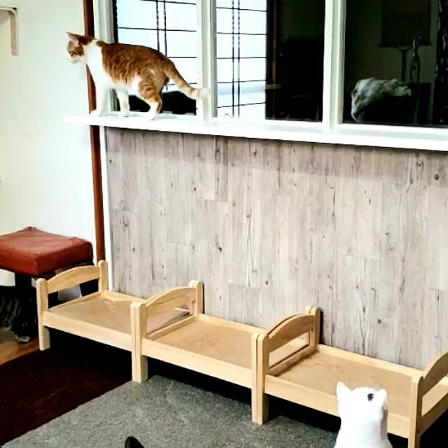 ymmtさんの実例写真