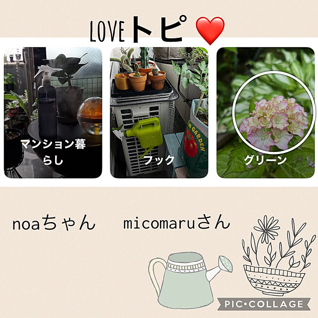 CoCo0617さんのお部屋の写真