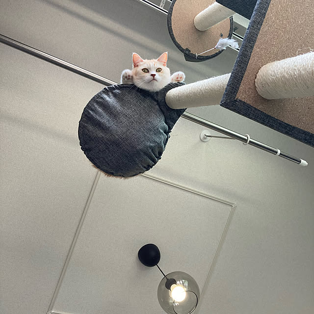 H.Tさんの実例写真