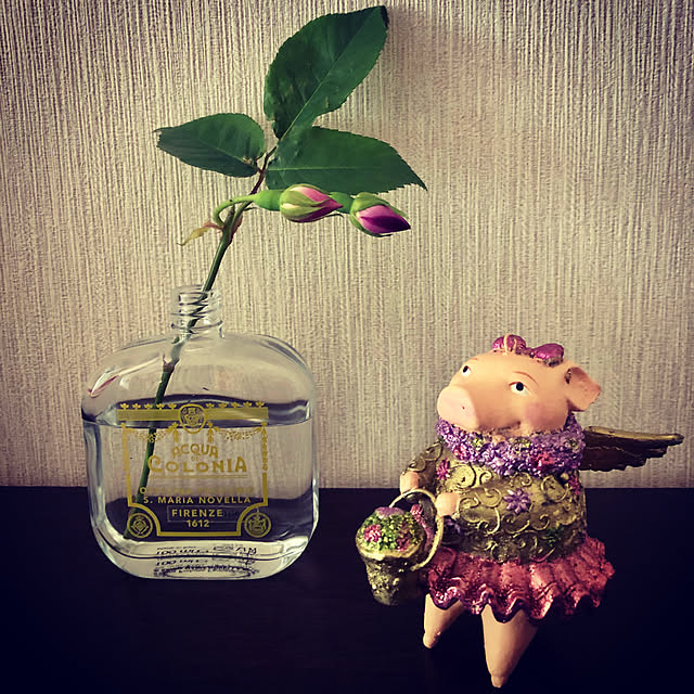 Chiakiさんの実例写真