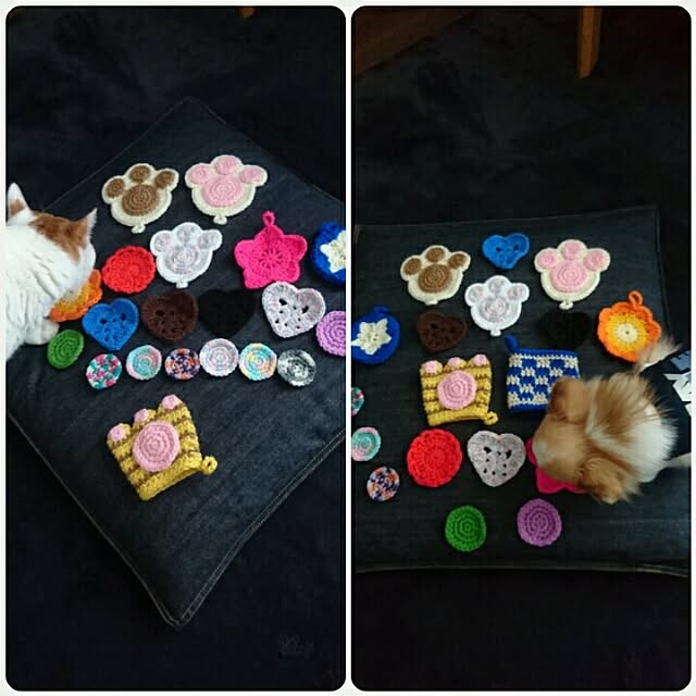 porinさんの実例写真