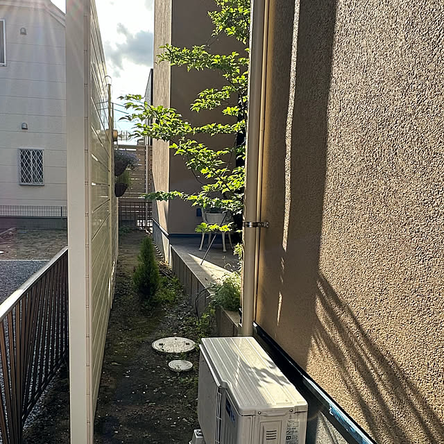 lemonadeさんの部屋