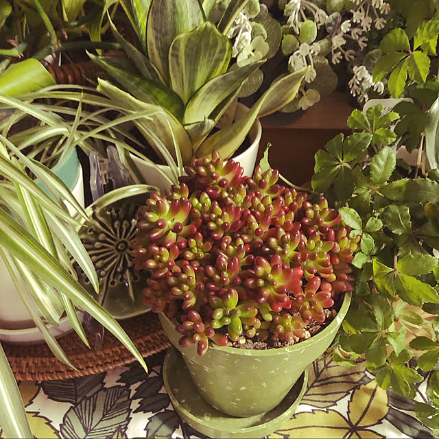 uchidaizuさんの実例写真