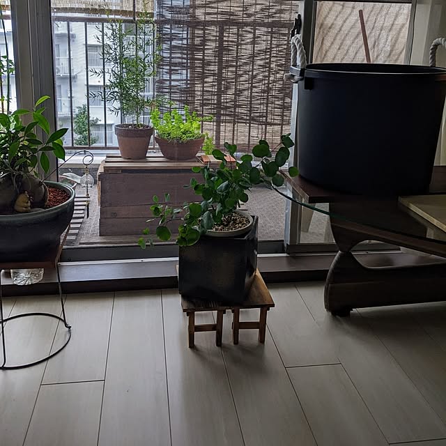 mi-saさんの部屋