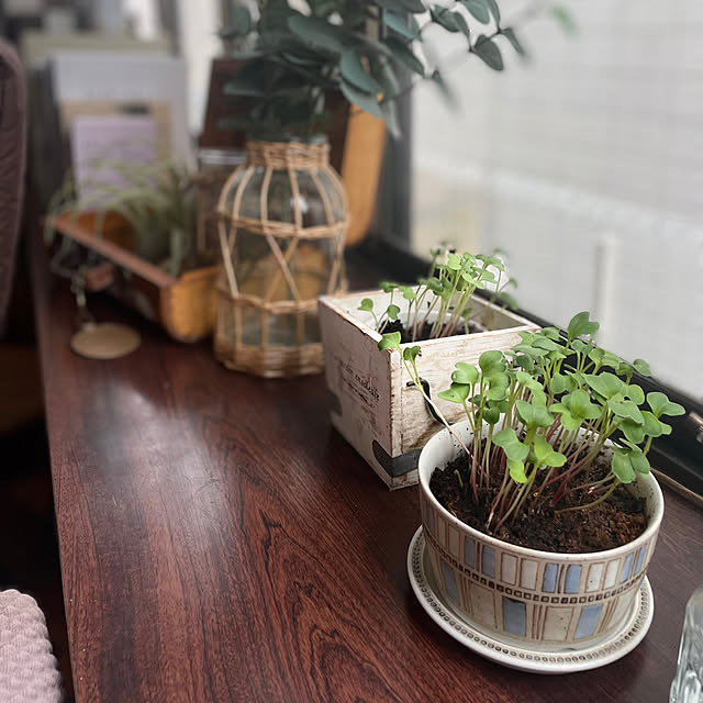 izuさんの部屋