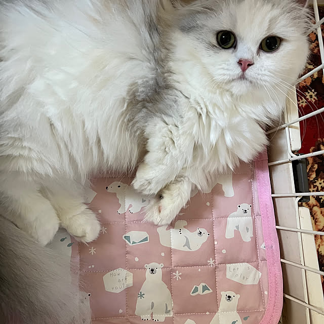 AYUKOさんの部屋