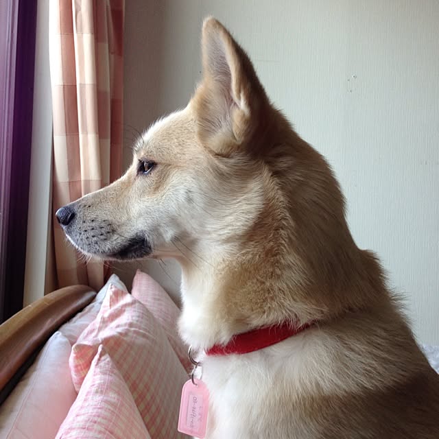 leonaさんの実例写真