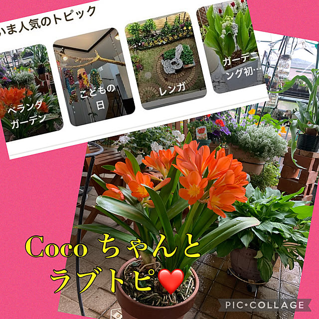 Aqettyさんの実例写真
