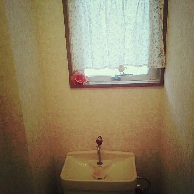 kaerusienneさんの実例写真