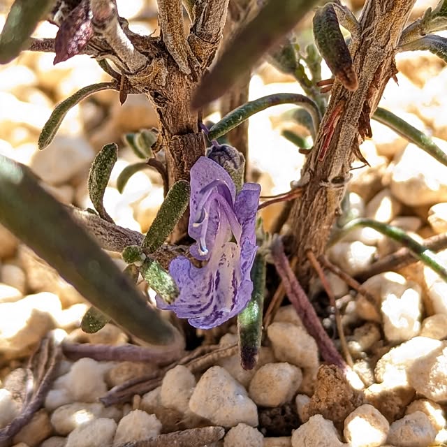 mi-saさんの部屋