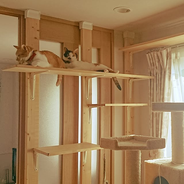 kojiro10101さんの実例写真