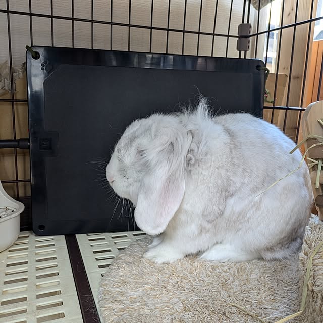 ciiiさんの部屋