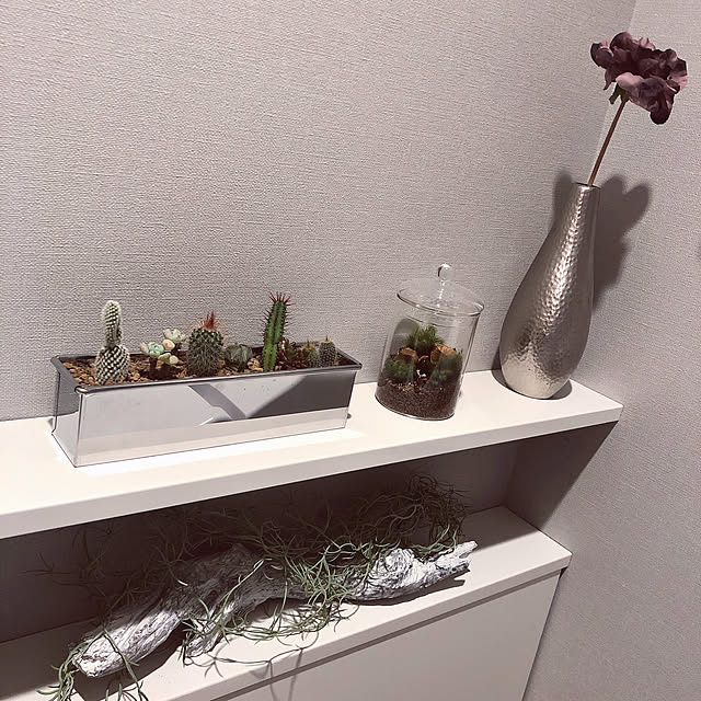 MMさんの実例写真