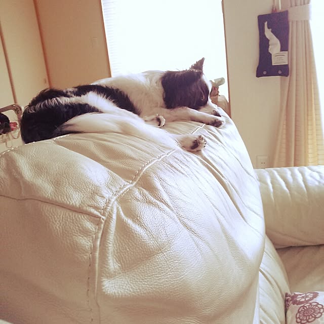 meeさんの実例写真