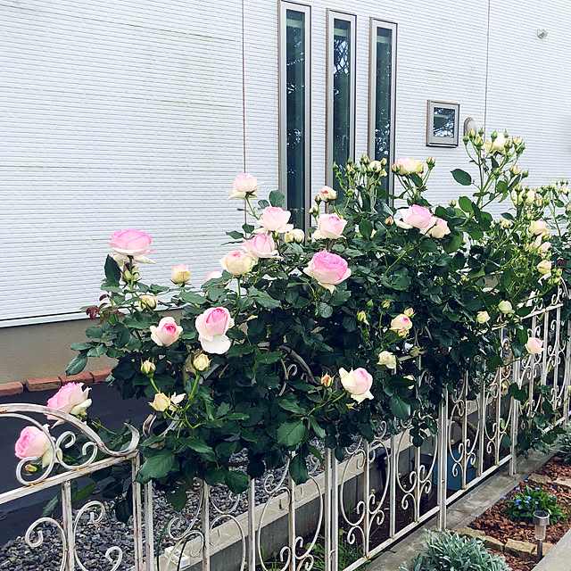 tomoさんの部屋