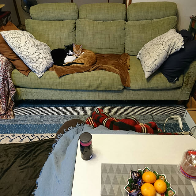 okyosan101さんの実例写真