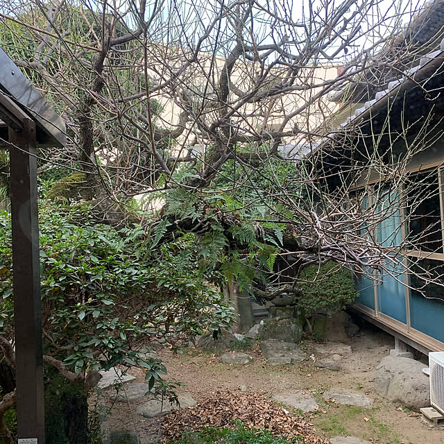 r.e.iさんの実例写真
