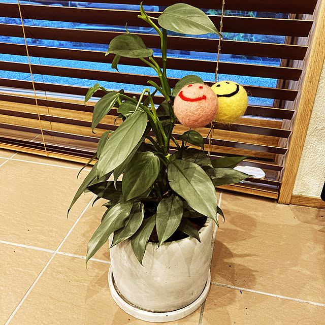 hamukoさんの実例写真