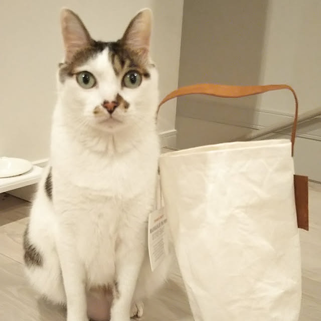 Sakasanさんの実例写真