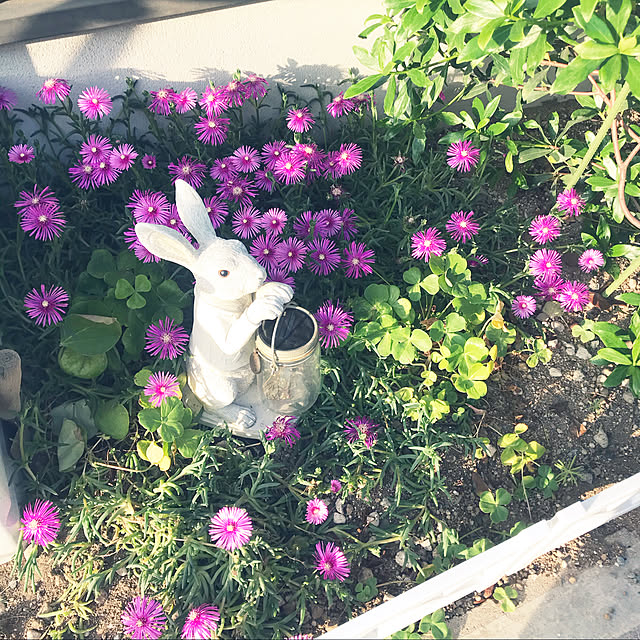 Rさんの実例写真