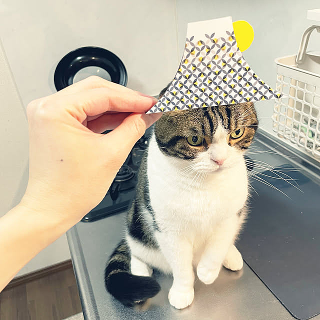tansukeさんの実例写真