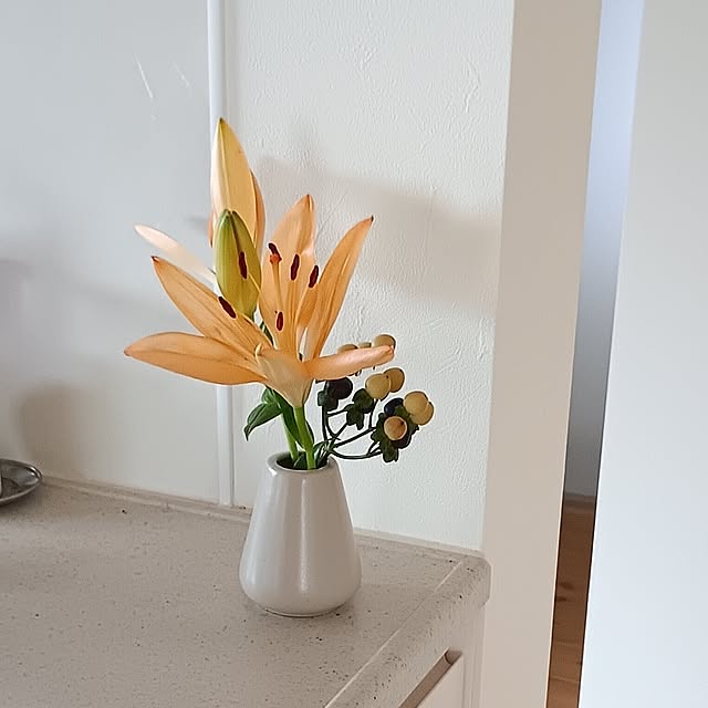 coco1204さんの部屋