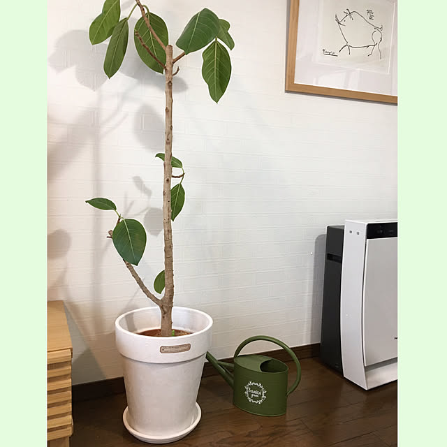 akezouさんの実例写真
