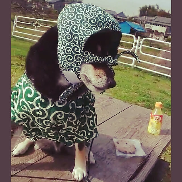 tsutawarimasuさんの実例写真