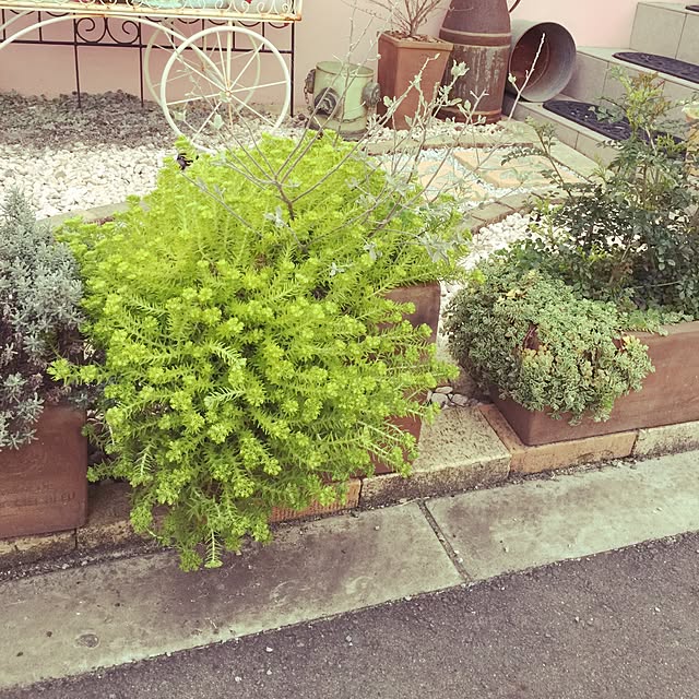 achuさんの実例写真