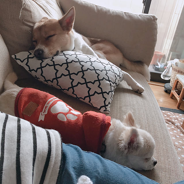 mtk_homeさんの実例写真